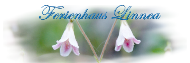 Zum Ferienhaus Linnea